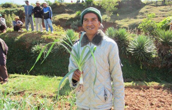Un paysan malgache, un légume récolté en main