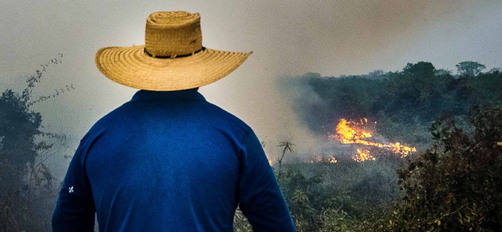 Photo d'un homme au chapeau de paysan brésilien de dos, devant lui la foret en flammes.