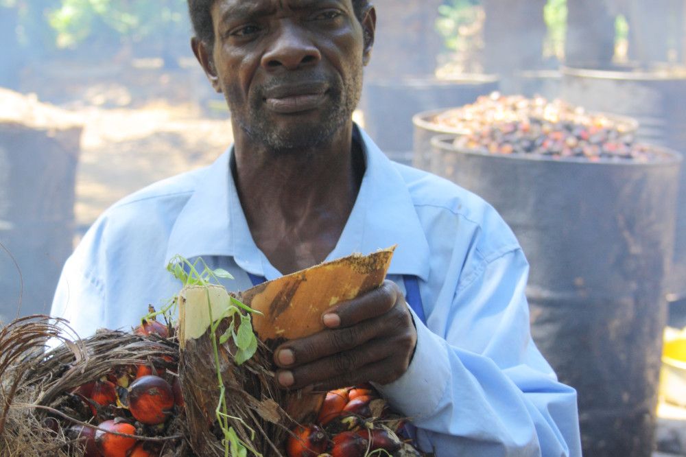 un paysan africain tient un bouquet de fèves rouges