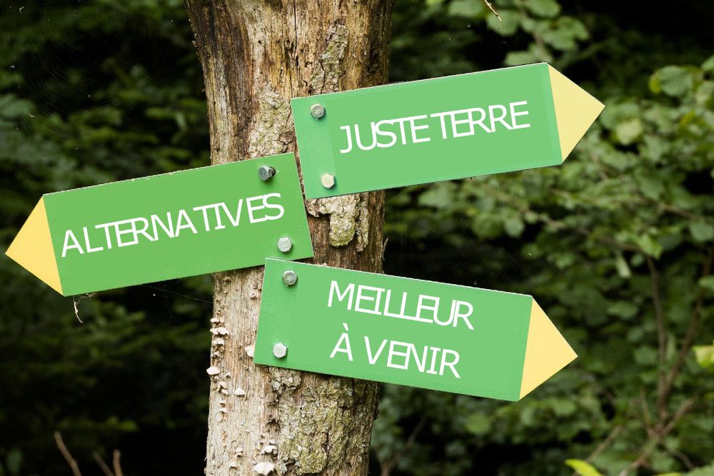 3 panneaux indicateur fixés sur un arbre : Juste Terre, Alternatives et Meilleur avenir