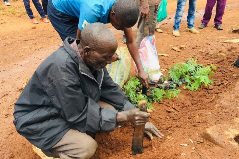 Deux paysans en train de planter des jeunes pouces dans une terre rouge et sèche