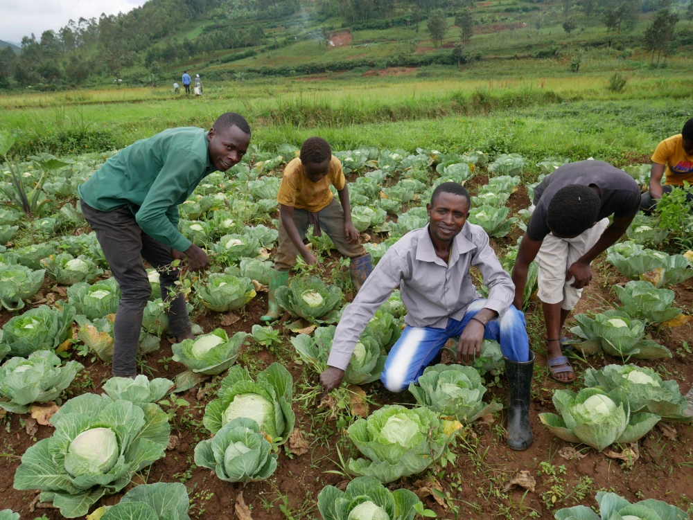 Jeunes agriculteurs RDC