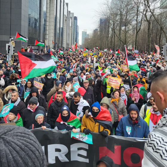 Une grande foule de gens dans la rue, avec des banderoles et des drapeau de la Palestine.