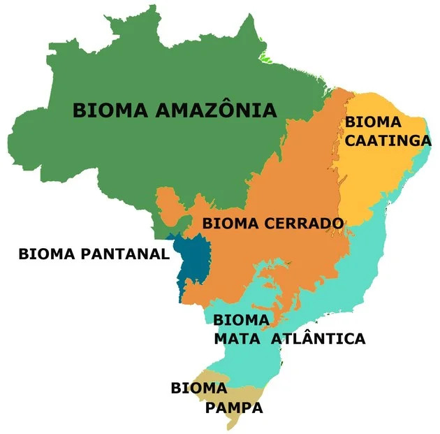 Carte des biomes brésiliens