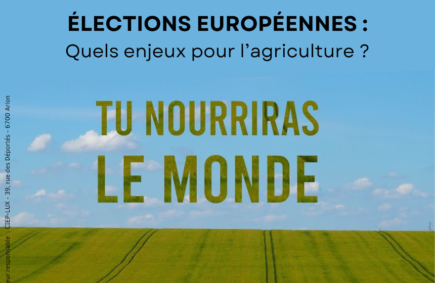 Un ciel bleu au dessus d'un champs vert. Texte : « Élections européennes : quels enjeux pour l'agriculture ? » « Tu nourriras le monde »