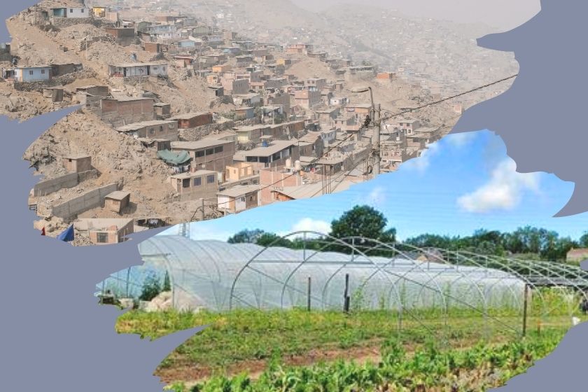 deux photos supperposés : des modestes habitations sur une colline arride, une grande serre de plantation