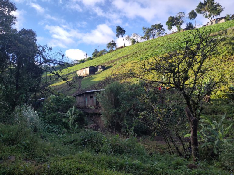 mission nicaragua 2025 5