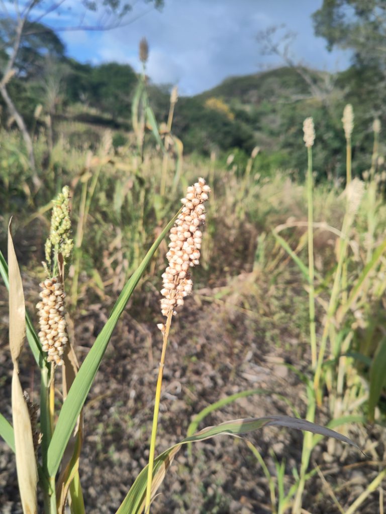 mission nicaragua 2025 6