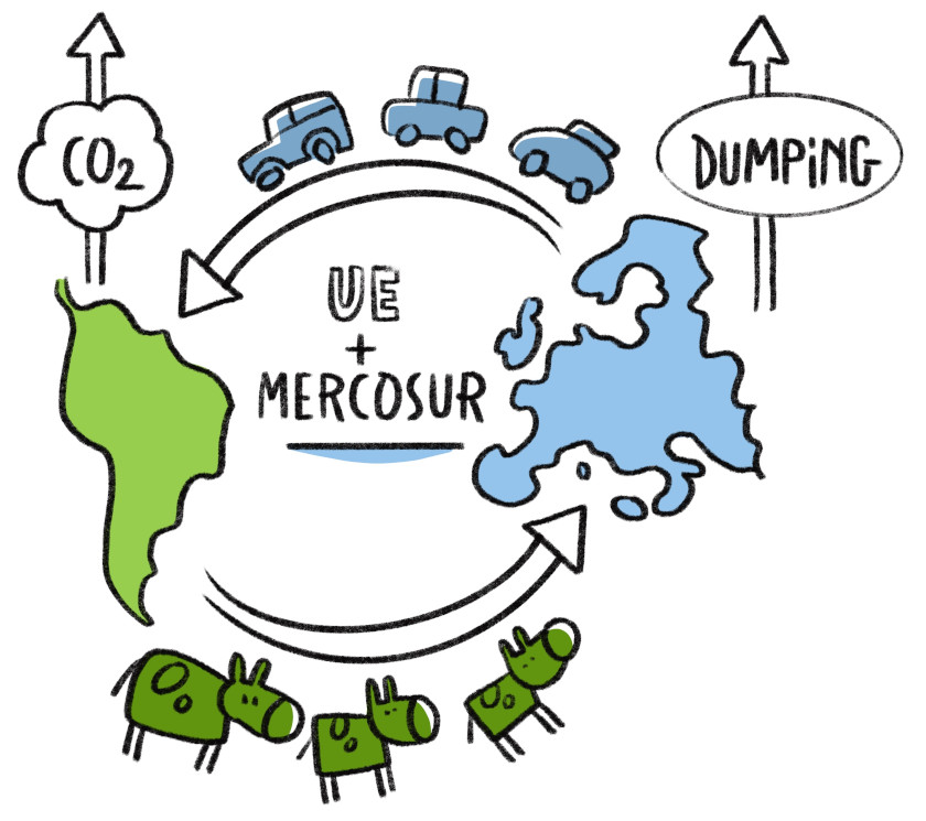 Des vaches contre des voitures