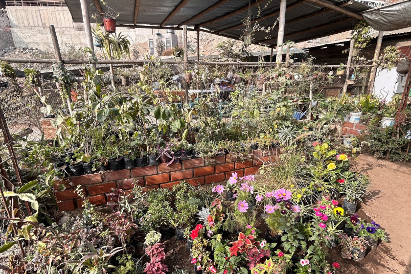 Une cour enfleurée, en arrière-plan une toiture en tôle.