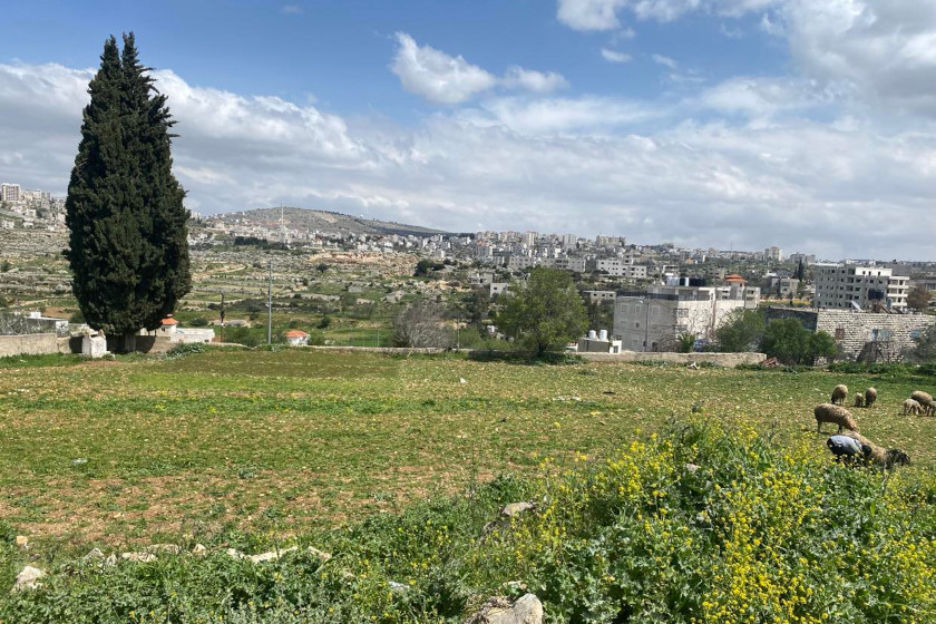 Un paysage verte avec des moutons, une ville à l'horizont.
