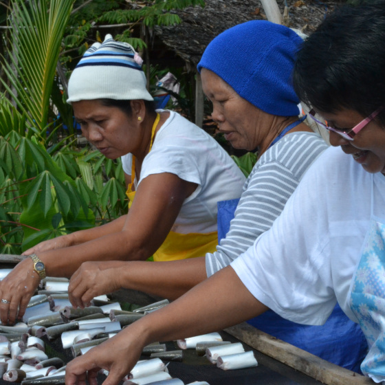 Cooperative feminine sardines