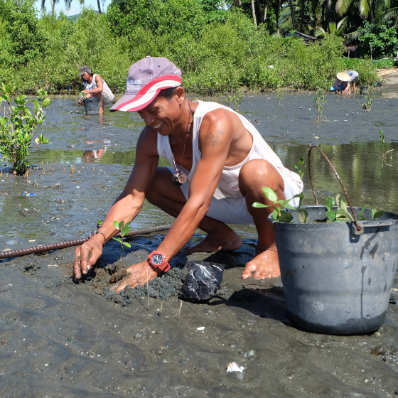 Une personne plante des jeunes pouces dans un sol très humide