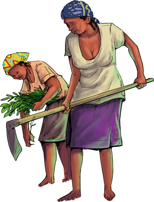 Illustration de deux femmes travaillant la terre. L’une manie une houe en s’appuyant sur son manche, l’autre se penche pour ramasser une brassée de feuilles vertes. Toutes deux sont pieds nus, vêtues de jupes et de t-shirts simples.