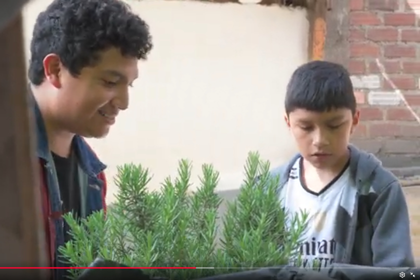 deux garçons derrière une plante