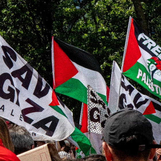 drapeaux palestiniens