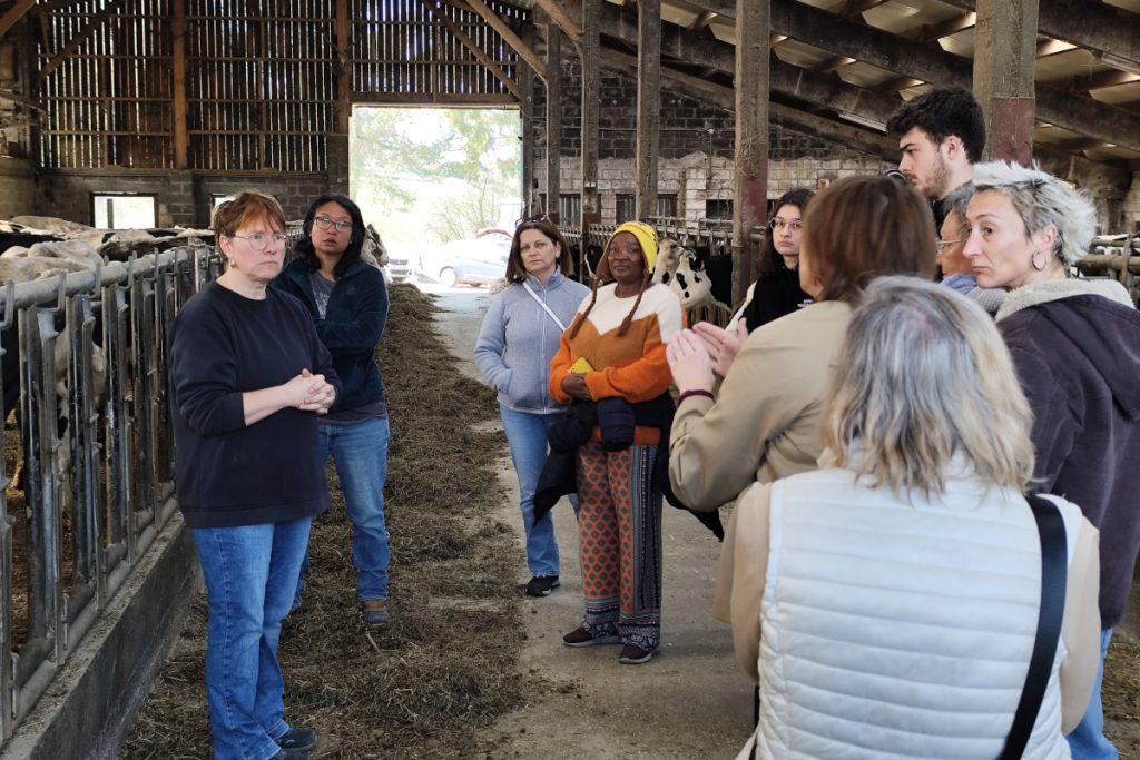 Groupe en visite dans une étable, écoutant une femme devant des vaches. 