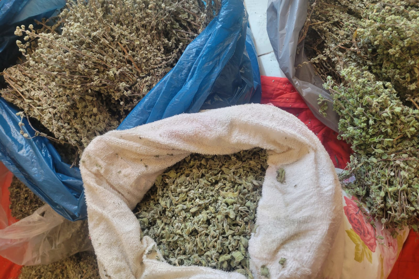 Sacs avec des herbes